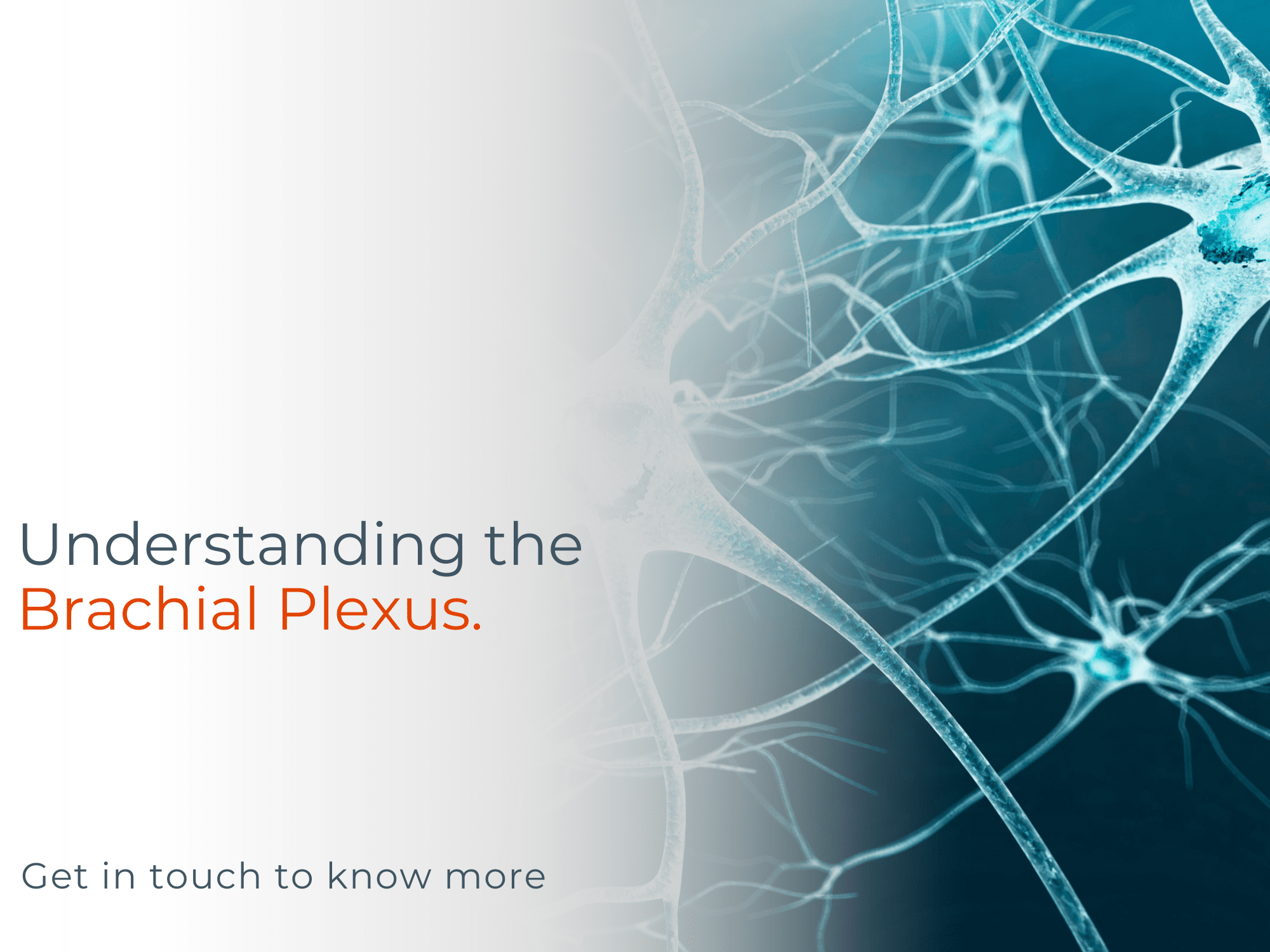 Brachial Plexus Injury Brachial Plexus Injury Treatment