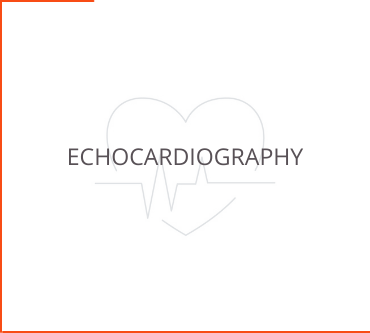 Echocardiography