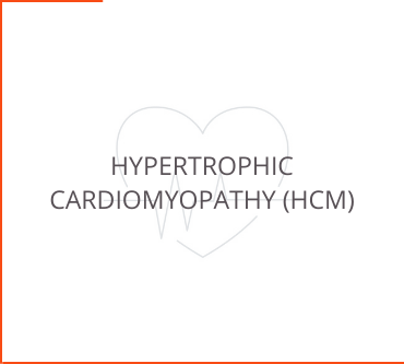 Hypertrophic Cardiomyopathy (HCM)