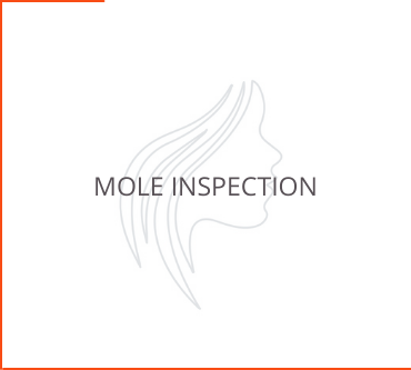 Mole Inspection