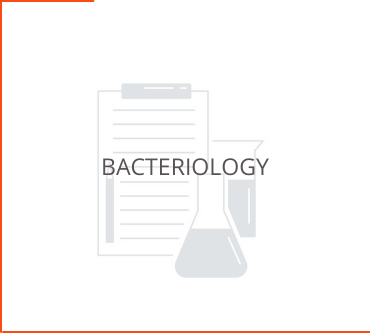 Bacteriology