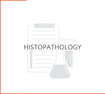 Histopathology