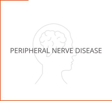 Peripheral Nerve Disease