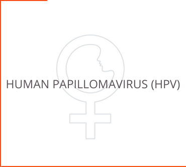 Human Papillomavirus (HPV)