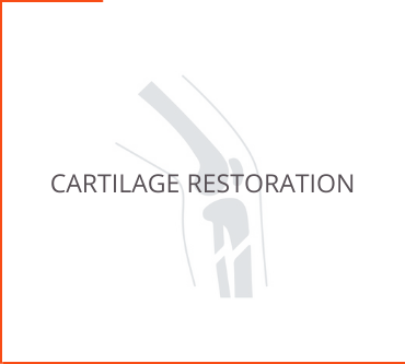 Cartilage Restoration
